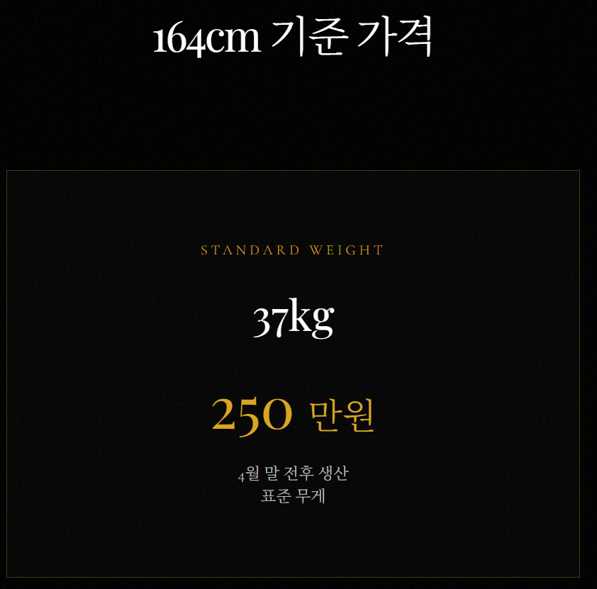 ajldoll 아자러 2025~2026년 최고의 다크호스인 이유  ajldoll